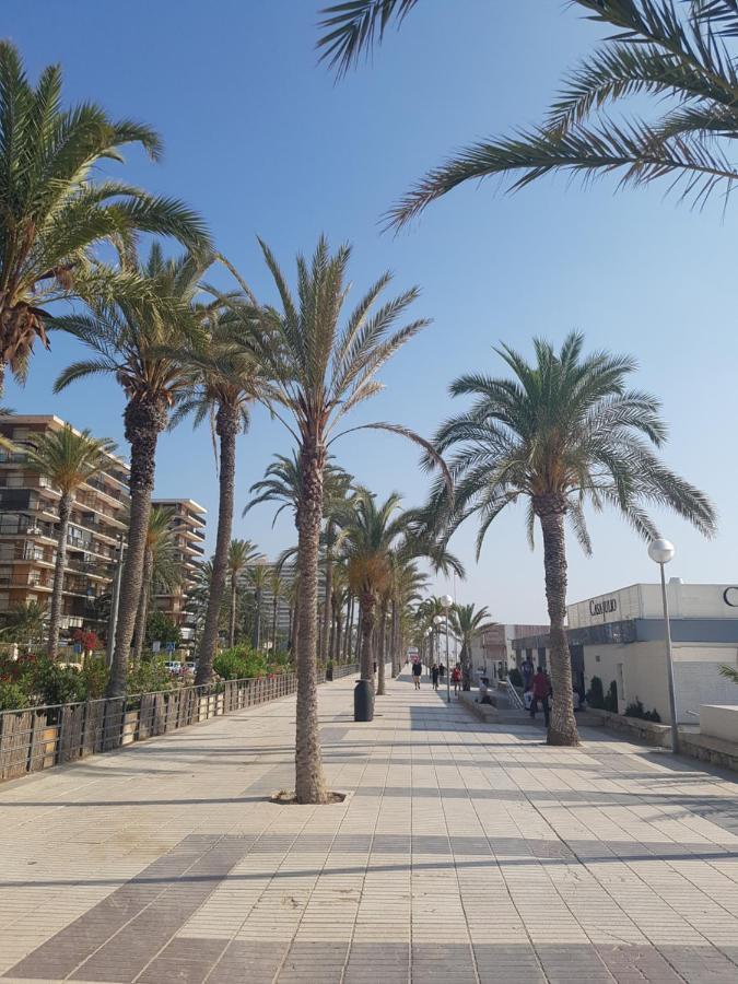 Exclusif Appartement En 1Er Ligne, Vue Imprenable, Piscine, Parking Prive A Playa Mucha Vista, Alicante El Campello Exterior foto